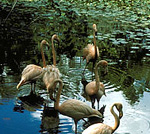 nature trails